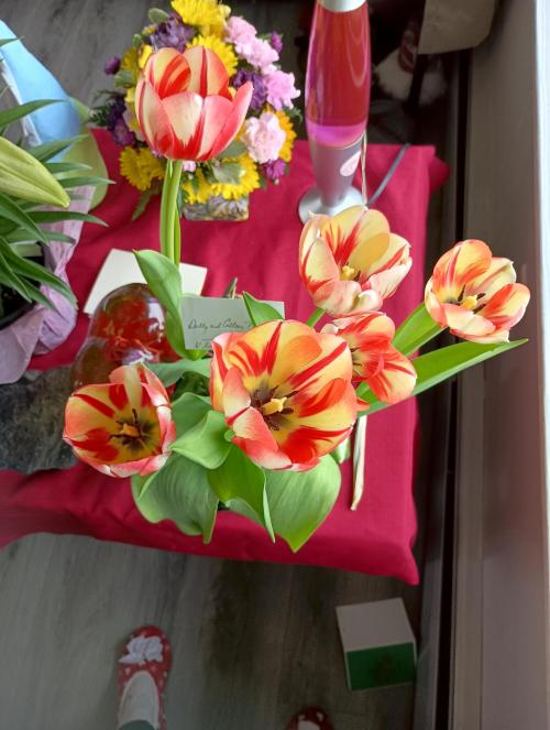 IMG_20250421_100952536_HDR