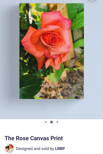 Screenshot_20250408_141118_Brave