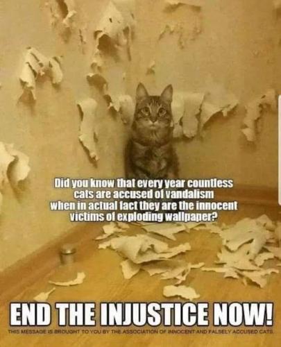 b0f8523a8fd9dc8b0af91fbb7057b796