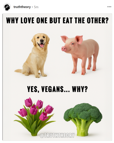 yes vegans why