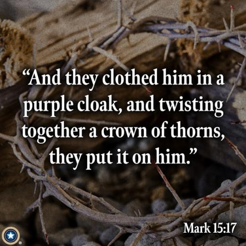 01JS3HWDNCE50638ZQ3523E0P6