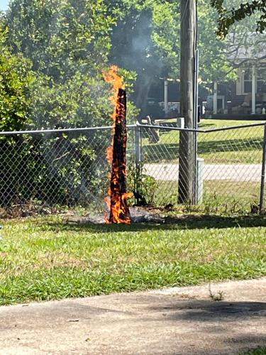 8D742A26-7D74-4651-A841-5BEC57797A9C