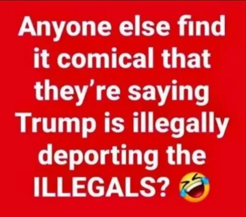 image_2025-04-07_061759366