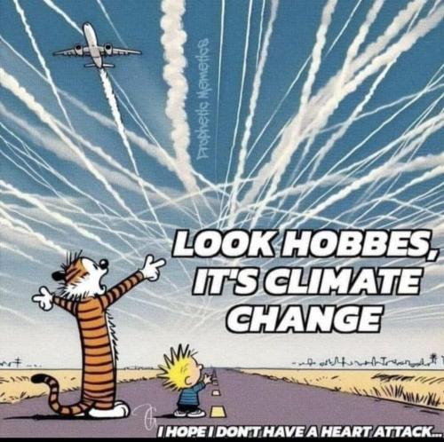 FB_IMG_1745875988064