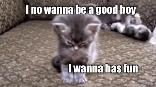 8142d5bd757ec7c03e831b34989542f1