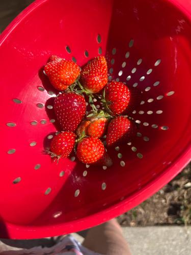 A8DA7A5E-5DB1-4238-987F-37993E6A89E3