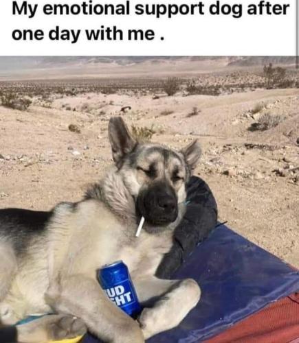 FB_IMG_1744226761359