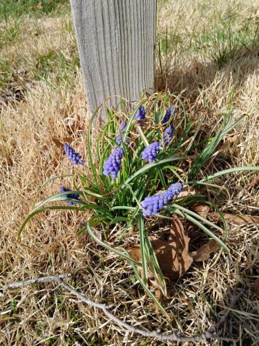 e7e8d5fd-764d-464f-955b-82c13ff67f6a