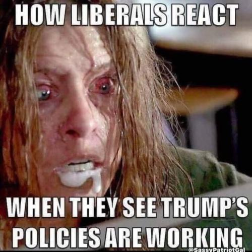 IMG_20250405_145843_237