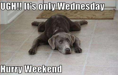 ac84087e1c1837b1b8c95b7954f4df0f