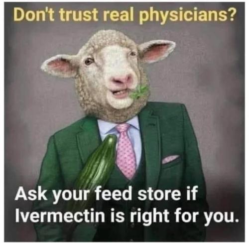 FB_IMG_1743973268792