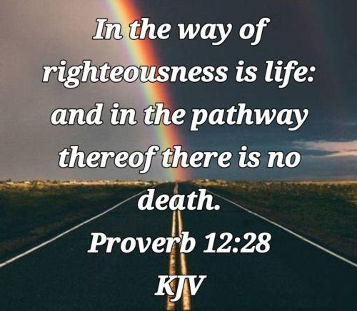 50f1bd60-91f3-4ac5-950a-76a4a1e28c9f