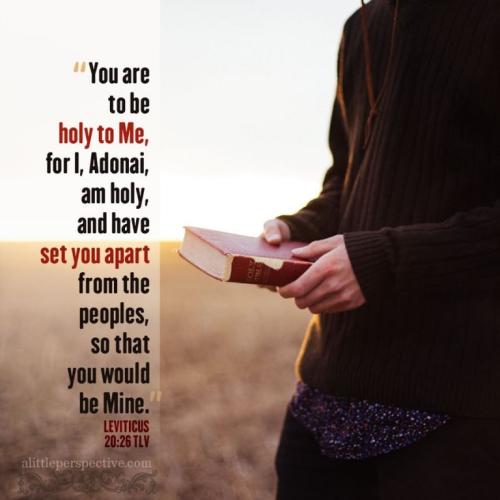 lev-20-26-unsplash-9x-768x768