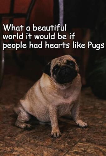 FB_IMG_1743643461875