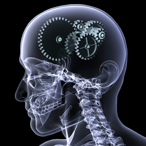 tumblr_4e70fe8dc4c1c4b91867393a8899d44c_4b5e382f_500