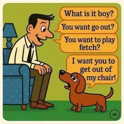 FB_IMG_1744925105797