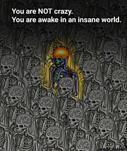 image_2025-04-12_100837406