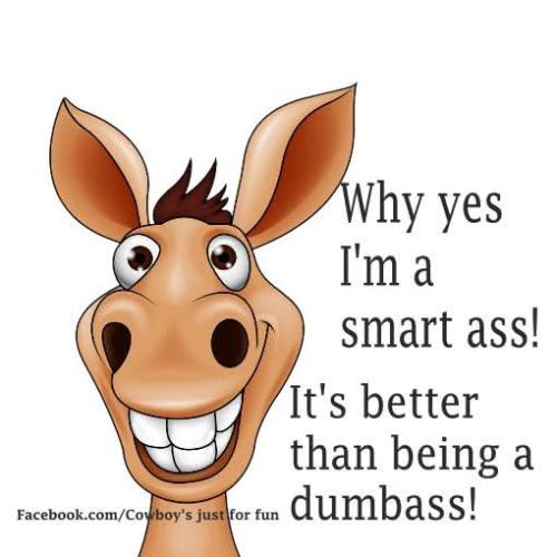 FB_IMG_1744734236339