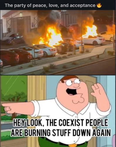 img (77)-text-shapes-0.5x