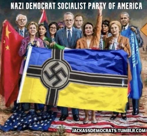 DEMOCRAT NAZIS