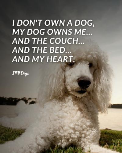 FB_IMG_1745878060605