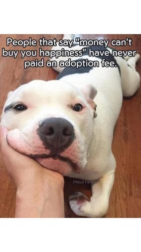 FB_IMG_1744642053707