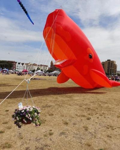 c44cd0b3-f45e-4d77-9ed1-58aee7787be8