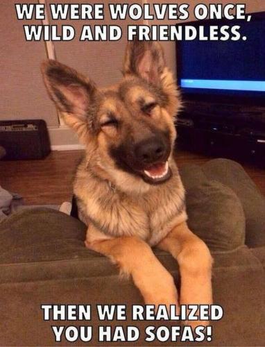 FB_IMG_1744053344660