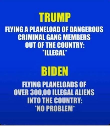 biden or trump planeload