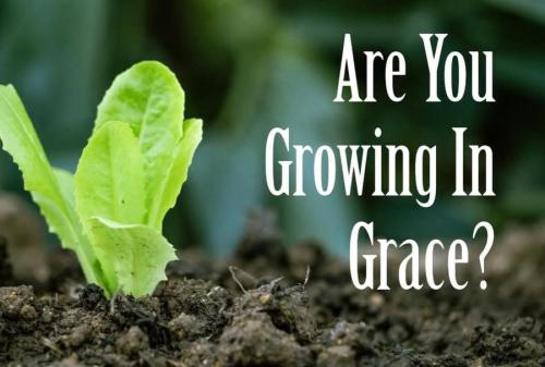 c524df80-4976-40ba-9f5f-f31bd728502f