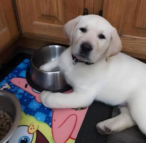 FB_IMG_1743539146081