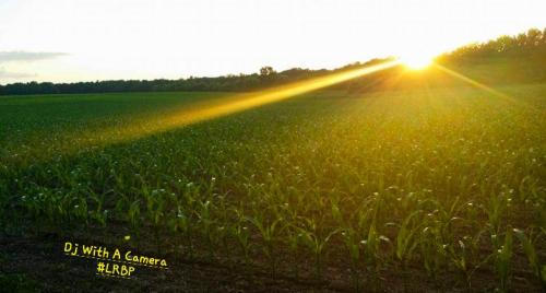 Screenshot_20250408_064735_Gallery