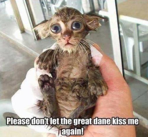 e73aadd10bad8fc73965512e7cc7cb8b