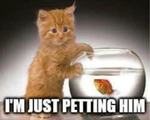 FA441A5A-6A88-4C55-B176-5834095EAB89