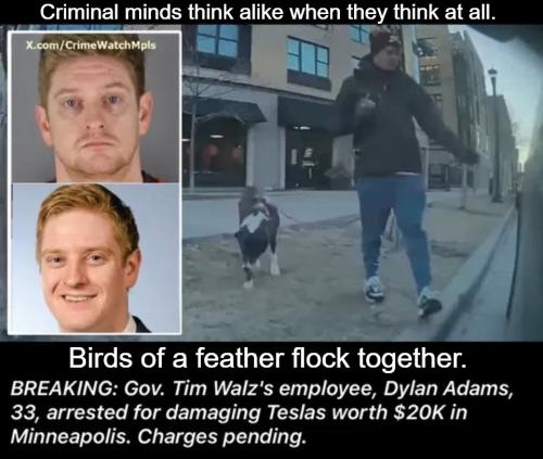 Prison sex dead ahead.Walz employee charges pending.960px