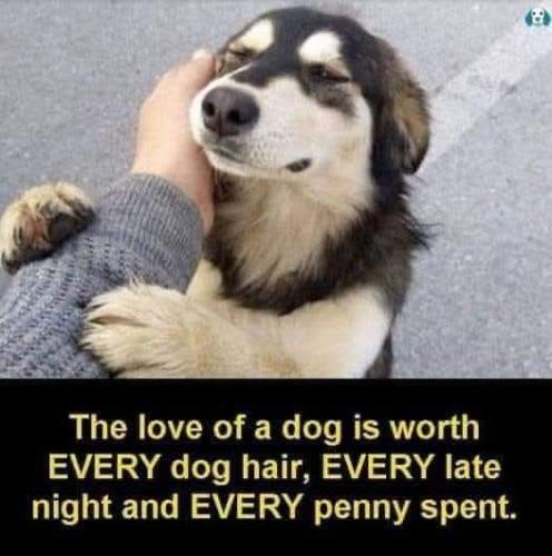 FB_IMG_1744291904953