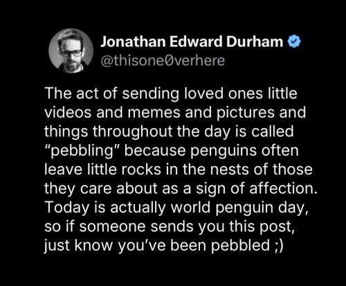 Screenshot_20250428_114315_Instagram