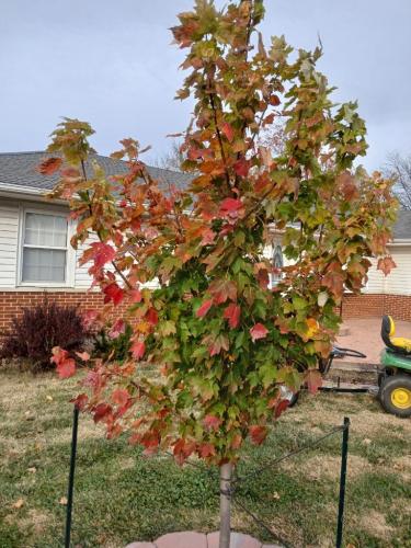 df897aa4-db8a-46fe-afea-1bfa55864a0c