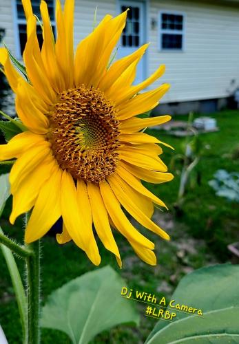 Screenshot_20250424_065450_Gallery