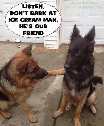 fbce9b1ac0e5f5ae19d90297e2ea6653