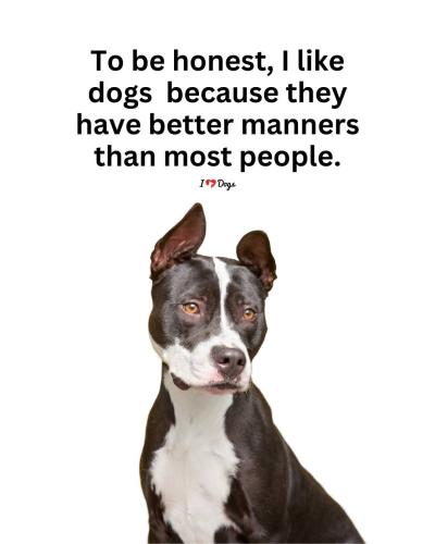 FB_IMG_1744045157744