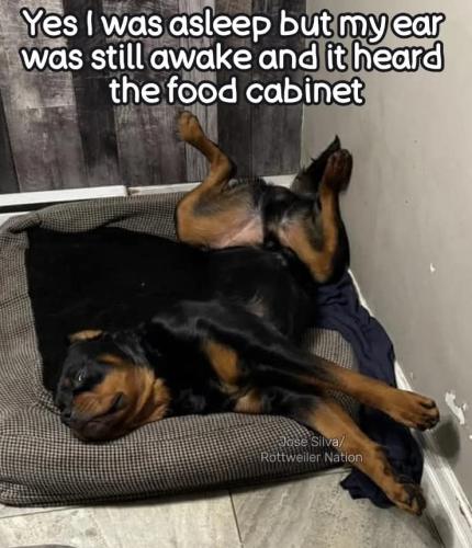 FB_IMG_1745436933681