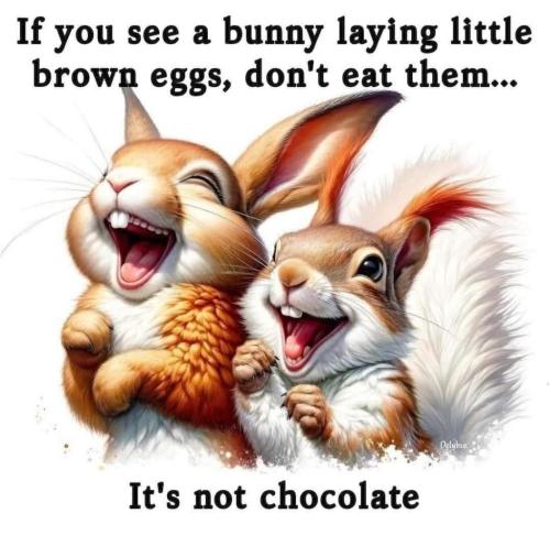 B839A5E1-0589-4B3A-8071-DEAEED0494F4