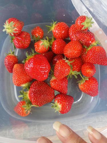 IMG_20250424_160347470