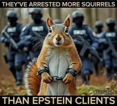 image_2025-04-13_075051625