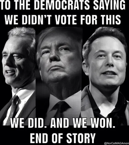 image_2025-04-03_063754908