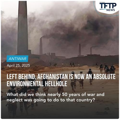 vgdfgdfgdgdfgfdgfgdgfd