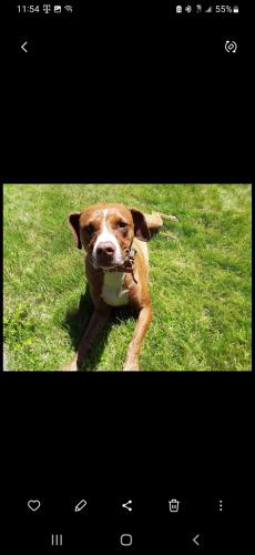 Screenshot_20240810_221658_Photos