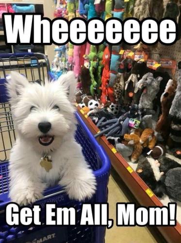 64cb5c9f3db4e4143bf1d3594c8e2ceb