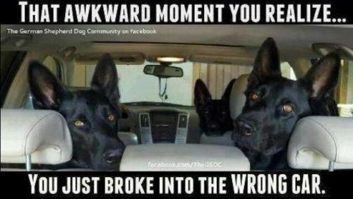 f07fdb5af92756508cb7d63ccb67b339